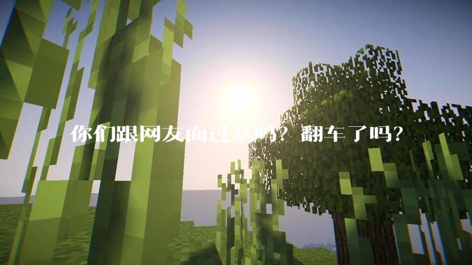 你们跟网友面过基吗？翻车了吗？